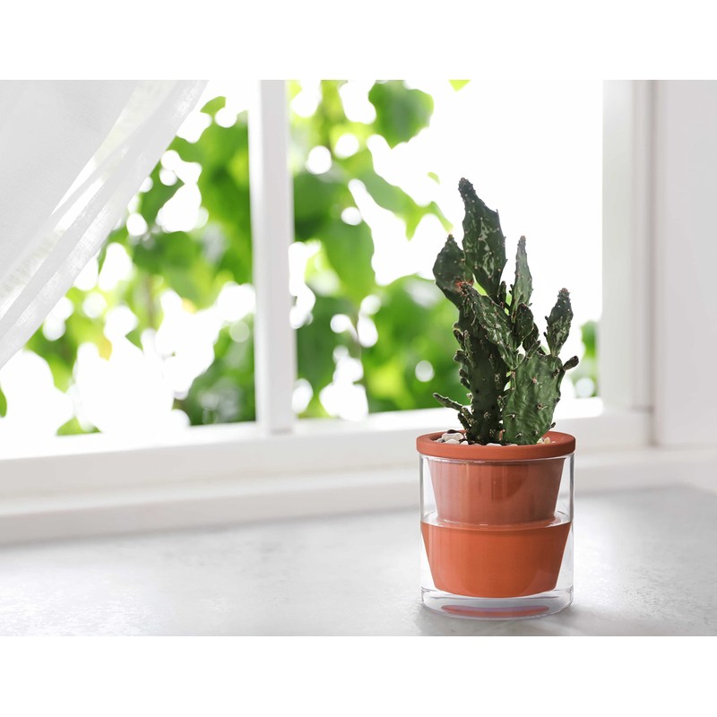 D'vine Dev 4 Inch Design Self Watering Planter for Indoor
