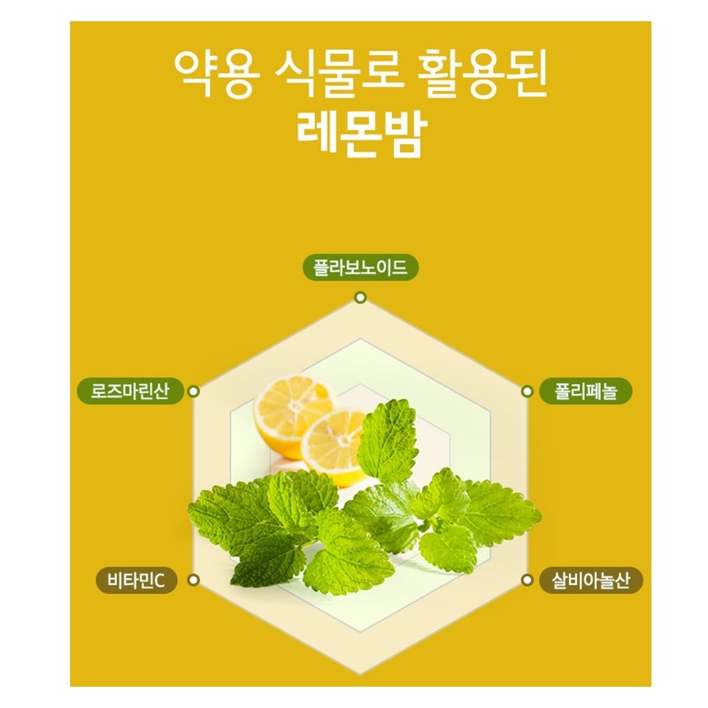 Lemon Balm Dandelion Extract Complex Powder 200g / 레몬밤 민들레