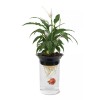 Penn-Plax (APON1) Aquaponic Planter and Aquarium for Betta Fish Tank