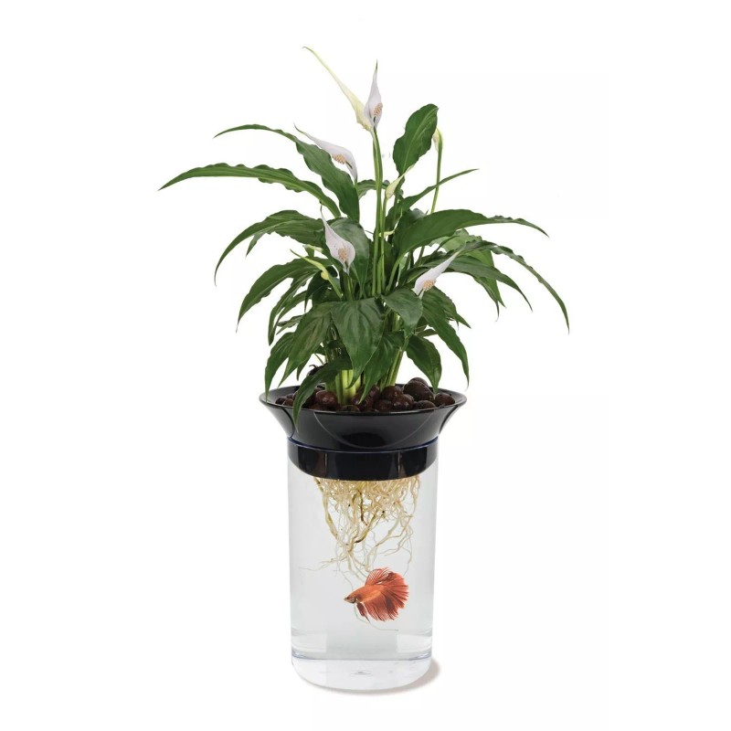 Penn-Plax (APON1) Aquaponic Planter and Aquarium for Betta Fish Tank