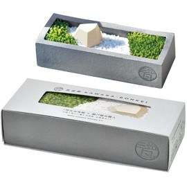 Seishin Pottery GD-1010 All-Year, Home Garden, Easy Cultivation Kit, Sunagoke Moss Cultivation Set (Free Research), Pot Approx. 7.5 x 2.8 inches (19 x 7 cm), Tile Bon Scenery, Father's Day, Mother's