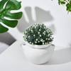 Sunnychicc 4 Set 6 Inches African Violet Pots Self Watering