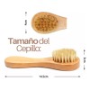 Set Cepillo Corporal Facial Y Esponja Pulpa De Madera Exfo