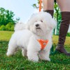Hipubby Dog Harness and Leash Set, No Pull Soft Mesh
