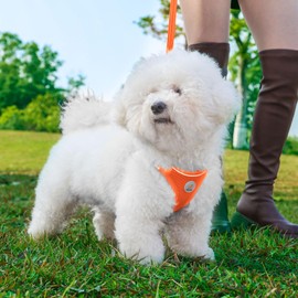 Hipubby Dog Harness and Leash Set, No Pull Soft Mesh Pet Harness for Small Medium Dogs, Cats - Step in Adjustable Reflective Puppy Harness with Buckle and Double D-Rings - Orange, L