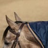 Dura-Tech Waterproof Contour Horse Show Rain Cover Sheet | Navy