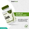 Smart Herb Paquete Focus GMB, Suplemento Alimenticio, 2 piezas (30