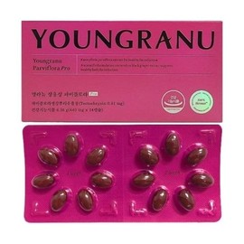 [영라뉴] 영라뉴 장용성 파비플로라 Pro 440mg 14캡슐. 1개(2주분) [Youngra New] Youngra New Jangyongseong Fabiflora Pro 440mg 14 Capsules. 1 unit (2 weeks supply)