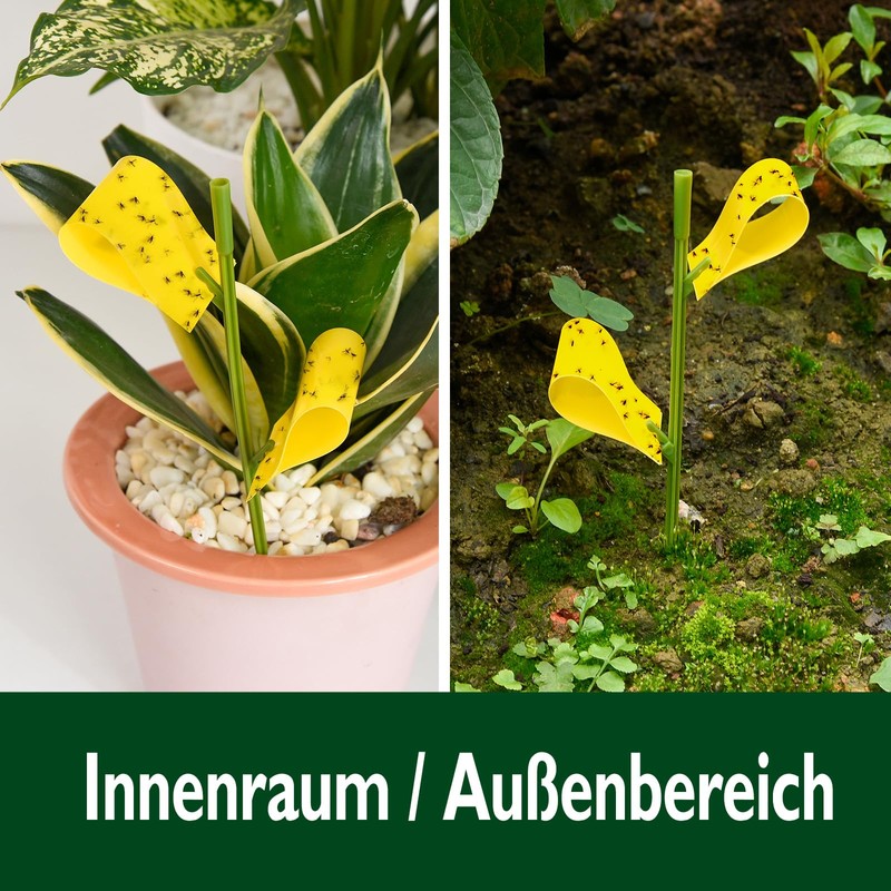 Garsum 42 Traps Sticky Houseplant Traps Gnat Yellow Insect Trap