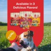 PLATO Grain Free Turkey Meat Bars Soft Dog Treats for