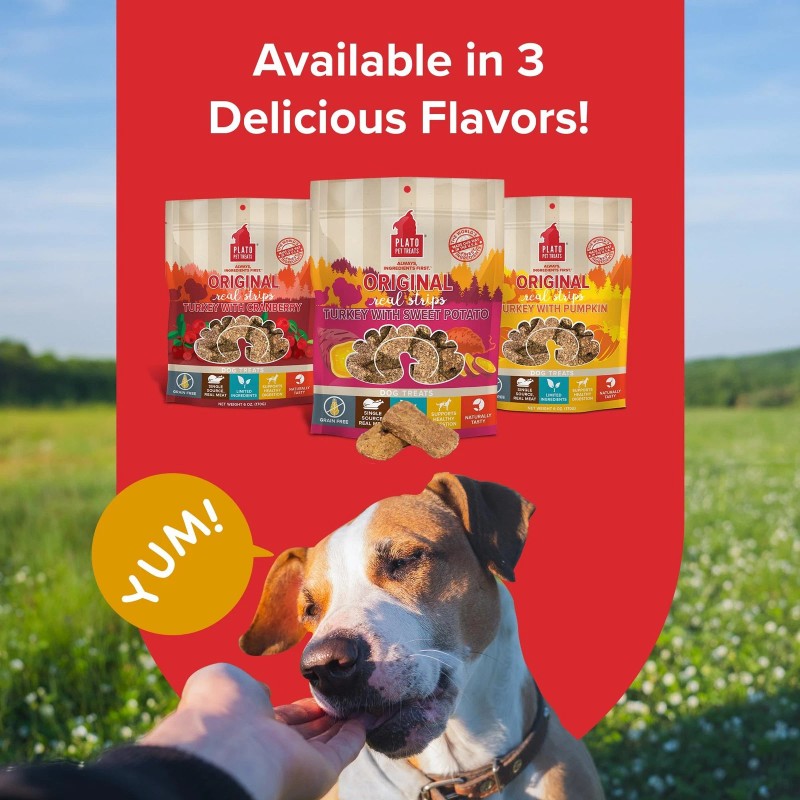 PLATO Grain Free Turkey Meat Bars Soft Dog Treats for