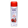 Carpet Fresh - 280174 Quick-Dry Foam, Apple Cinnamon, 10 OZ,
