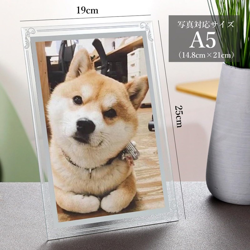 HappyHome Photo Frame A5 Glass Metal Frame Interior Picture Frame