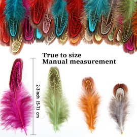 FeelfunFeather 60pcs Mix Colour Pheasant Plumage Feathers 2-3 Inches Natural Fluffy Spotted Plumage Feathers for Sewing Crafts Clothing Jewelry Hair Hats Wedding Party Decoration