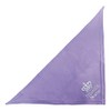 Schecker Lilac 65 cm Embroidered Dog Bandana with Text Princess