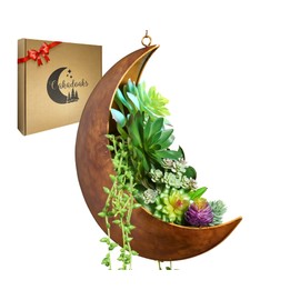 Hanging Moon Planter - Moms Day Gifts for Women - Moon Room Decor - Unique Planters for Succulents,Air Plant, Cactus, Artificial Plants- Plant Lover Gifts - Boho,Hippie, Witchy, Birthdays Gifts