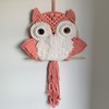 ACEDSGN Macrame Wall Hanging Owl Dream Catchers Large Handmade Boho
