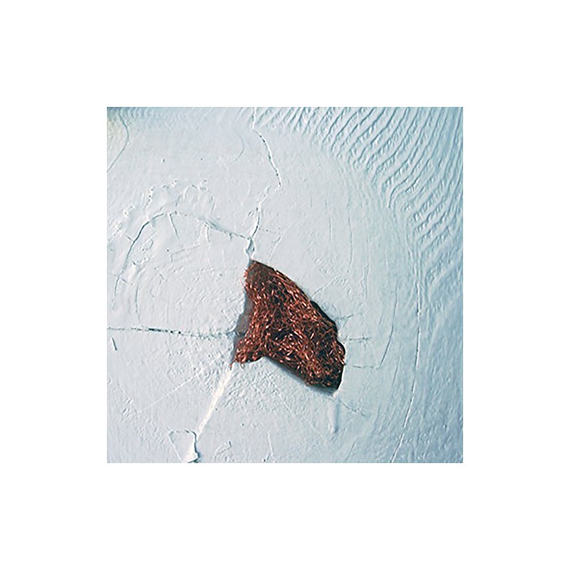 Bird B Gone CMS-100 Copper Mesh Roll for Rodent and