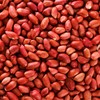 Holland & Barrett Redskin Peanuts 500g
