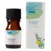 Tree of Life Friend Essential Oil Rosemary & Lemon 5ml