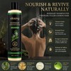Rosemary Hair Growth Shampoo and Conditioner Set (Set, 1)