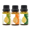 Citrus Set Organic Essential Oils |1.52 Fl Oz | Orange