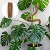 HUYUE Monstera Moss Rod for Climbing Plants 125 cm
