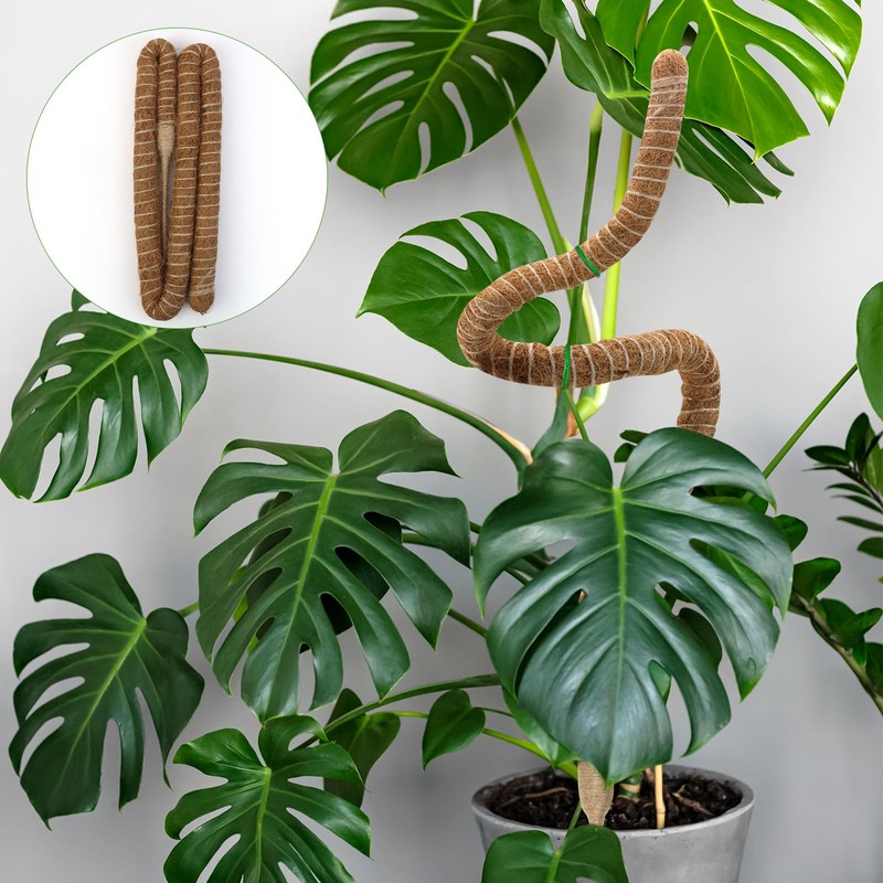 HUYUE Monstera Moss Rod for Climbing Plants 125 cm