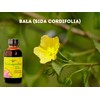 Padmashri Naturals Balashwagandhadi Oil, 100 ml