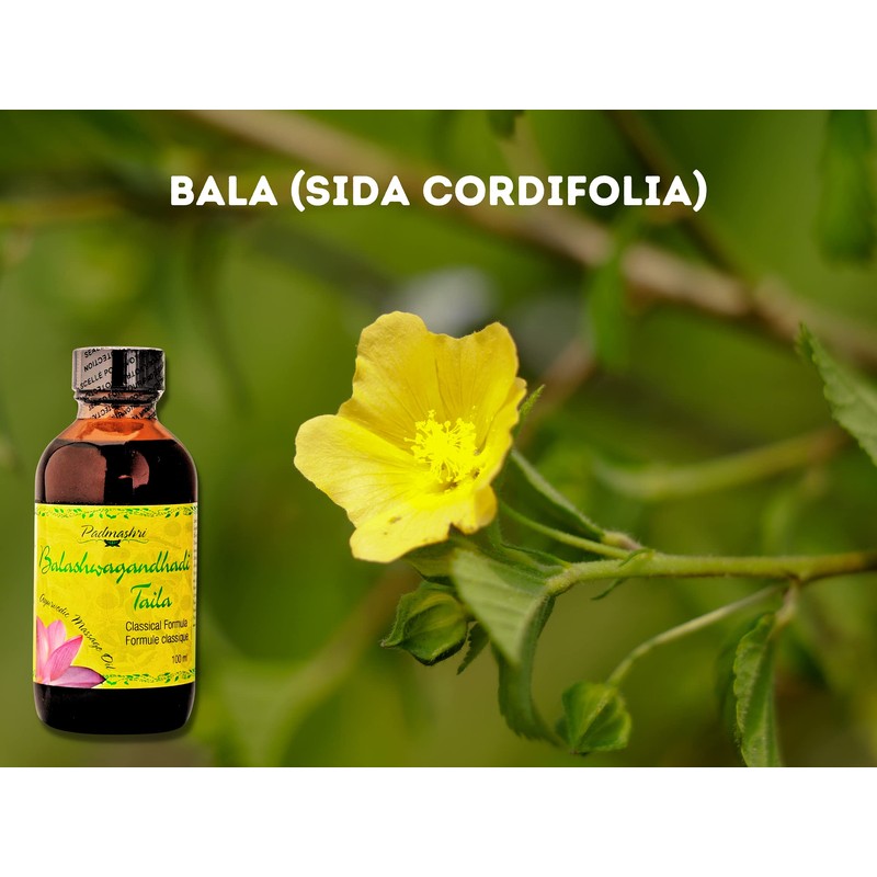 Padmashri Naturals Balashwagandhadi Oil, 100 ml