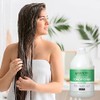 Ginger Lily Farms Aloe Vera Conditioner