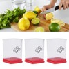 Fruit and Vegetable Speed Cutter with Push Plate Stainless Steel