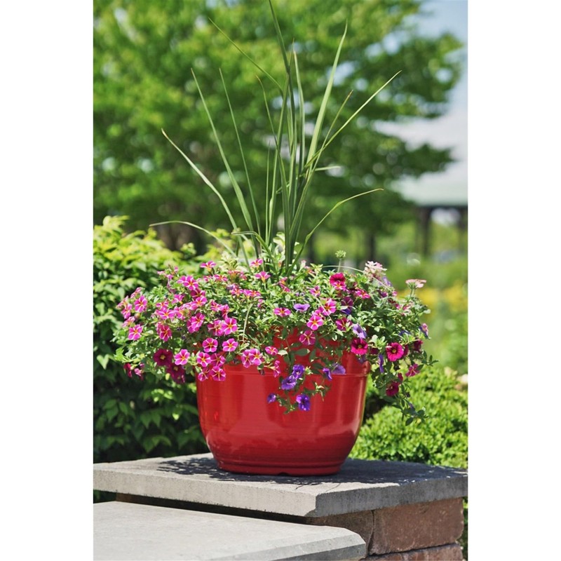 Garden Elements Indoor/Outdoor Glazed Brushed Happy Plastic Planter, Large, Bright