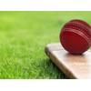 Cricket Leather Ball (set of 2) 50 Over Cricket Ball