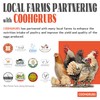 COOHGRUBS Dried Black Soldier Fly Larvae for Chickens, High-Calcium 85X