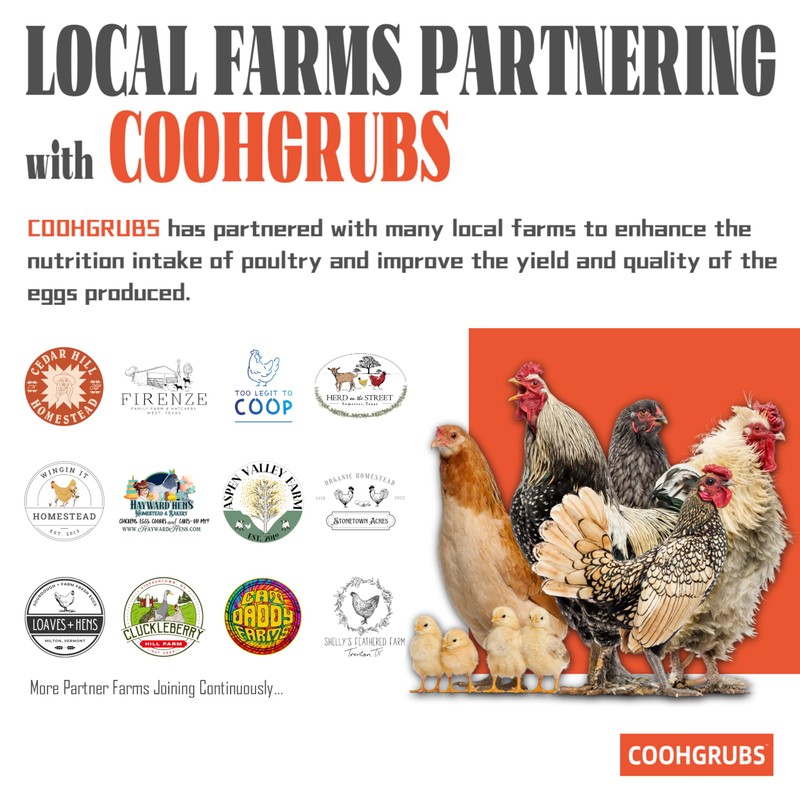 COOHGRUBS Dried Black Soldier Fly Larvae for Chickens, High-Calcium 85X