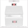 THERM BOX Polystyrene Box 2 W 24 x 20 x