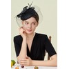BABEYOND Fascinator Hat Veil Feather Fascinators Hair Clip Tea Party