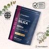 Silica Supplement 500mg | High Strength Silica from Horsetail Extract