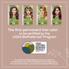 Naturtint 5c Light Copper Chestnut Hair Color (1xkit)