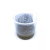 Coastal Silkworms Small Silkworm Pod® (50 Small Live Silkworms &