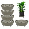 Molgoc Self-Watering Base with Visible Water Level,5-Pack,Keeps Leaves and Flying