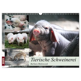 Tierische Schweinerei (Wandkalender 2025 DIN A3 quer), CALVENDO Monatskalender: Schweine findet man als Haustiere - aber auch als Wildtiere.