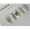 ⭐️ Spring walk with a turtle [Mint Turtle Nail Tips]