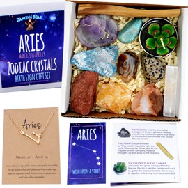 DANCING BEAR Aries Zodiac Healing Crystals Gift Set, (14 Pc): 9 Stones, 18K Gold-Plated Constellation Necklace, Meteorite, Succulent Candle, Palo Santo Smudge Stick, and Info Guide, Made in The USA