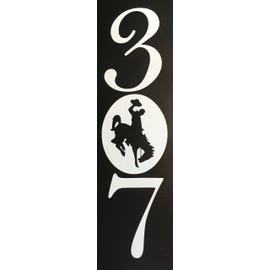 C60099 White 307 Bucking Horse Steamboat 3.5x12.75