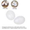 Maxmoral 12pcs Fake Eggs Plastic False Pigeon Eggs for Hatch