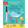 Early Years Wipe-Clean First Drawing