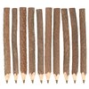 MultiBey 10 Pack Natural Wooden Ballpoint Pens, 6.7" Long Branch