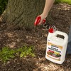 Spectracide Spectracide Weed & Grass Killer2, Ready-to-Use, 1-Gallon, Pack of